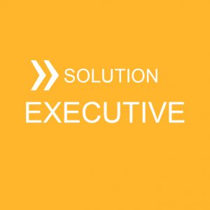 Solution Executive